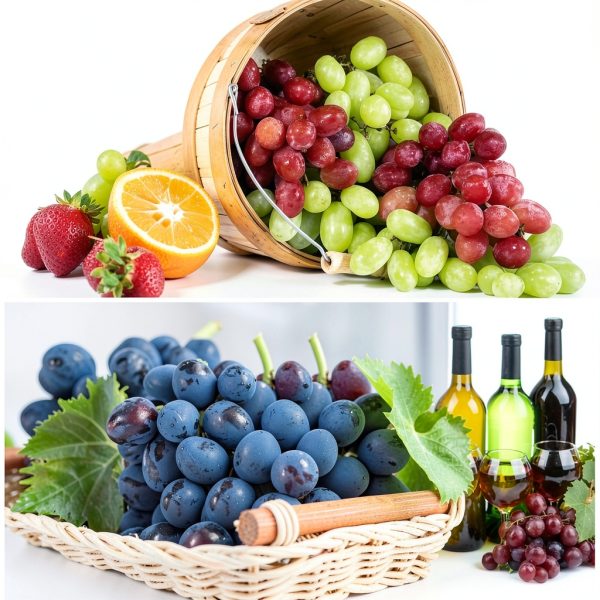 Xindacheng Refractometer Brix Testing Wine Grapes Sugar-4